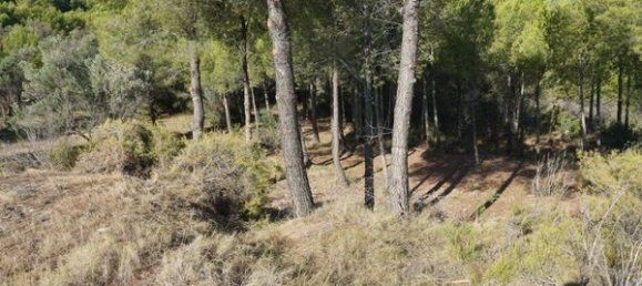 Terreno en Guadalest, Spain No. 108960 39