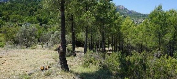 Terreno en Guadalest, Spain No. 108960 34