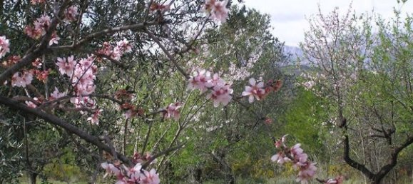 Terreno en Guadalest, Spain No. 108960 40