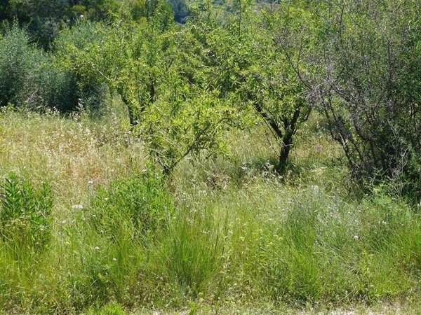 Terreno en Guadalest, Spain No. 108960