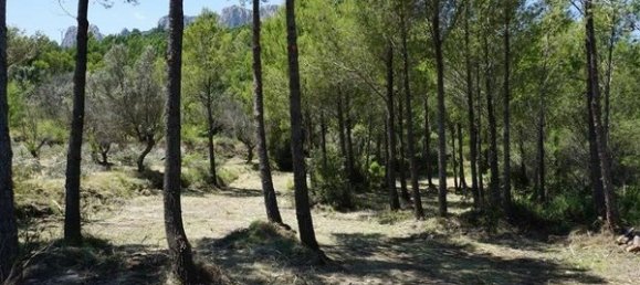 Terreno en Guadalest, Spain No. 108960 44