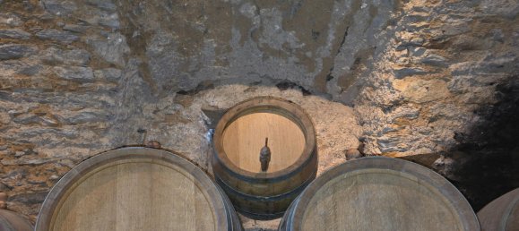 2 chambres Maison à Hartl, Austria No. 127050 19