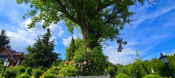 2 chambres Maison à Hartl, Austria No. 127050 28