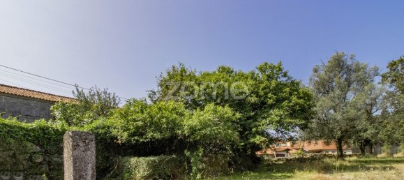 16 bedrooms House in Serzedelo, Portugal No. 46243 12