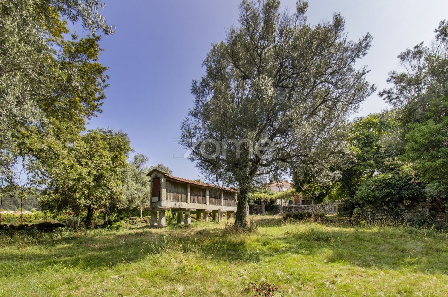 16 bedrooms House in Serzedelo, Portugal No. 46243