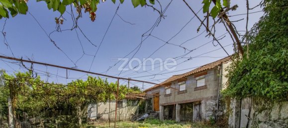 16 bedrooms House in Serzedelo, Portugal No. 46243 2