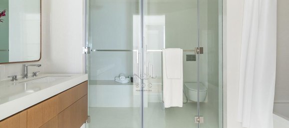 2 bedrooms Apartment in Saadiyat Island, UAE No. 39319 12