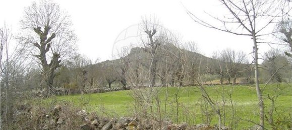 4 bedrooms House in Vimioso, Portugal No. 175465 5