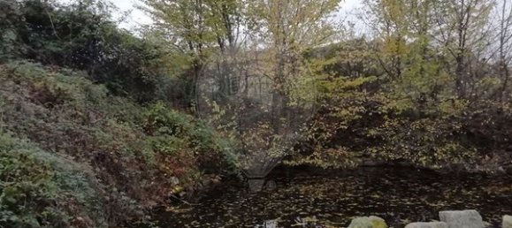 4 bedrooms House in Vimioso, Portugal No. 175465 9