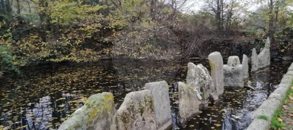 4 bedrooms House in Vimioso, Portugal No. 175465 8