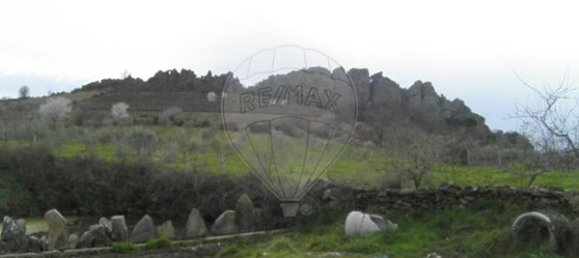 4 bedrooms House in Vimioso, Portugal No. 175465 6