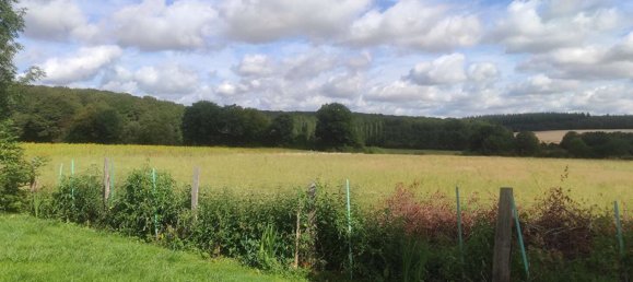 Casa de 3 dormitorios en Thiron-Gardais, France No. 71106 26