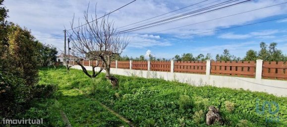 2 chambres Villa à Mafra, Portugal No. 120676 4