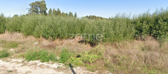  Land in Ovar, Portugal No. 20026 6