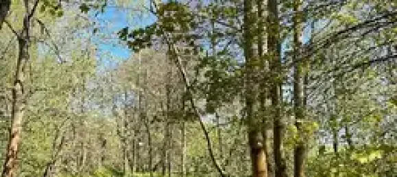  عقار تجاري في Bautzen, Germany 1327متر مربع رقم 201246 13