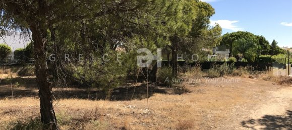 Земельный участок в Алмансил, Португалия № 107392 12