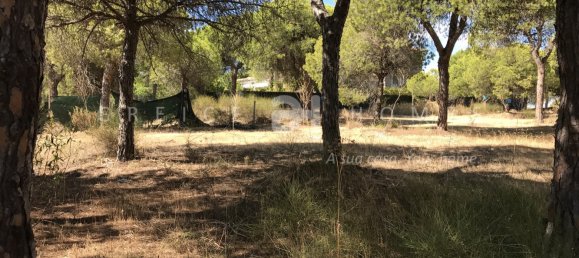 Земельный участок в Алмансил, Португалия № 107392 23