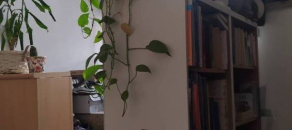 Квартира с 2 спальнями в Нова Миланезе, Италия № 282979 5