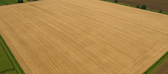 Terrain à Nordsachsen, Germany No. 290025 2