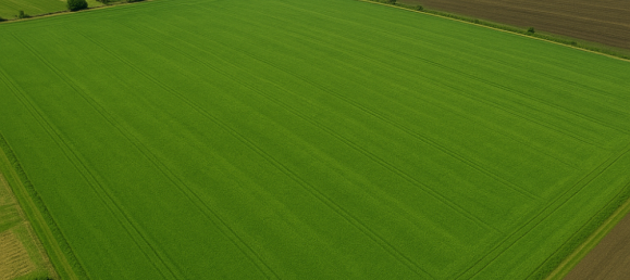 Terrain à Nordsachsen, Germany No. 290025 3