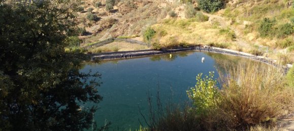 Grundstück in Lobras, Spain 279316m², Nr. 150859 6