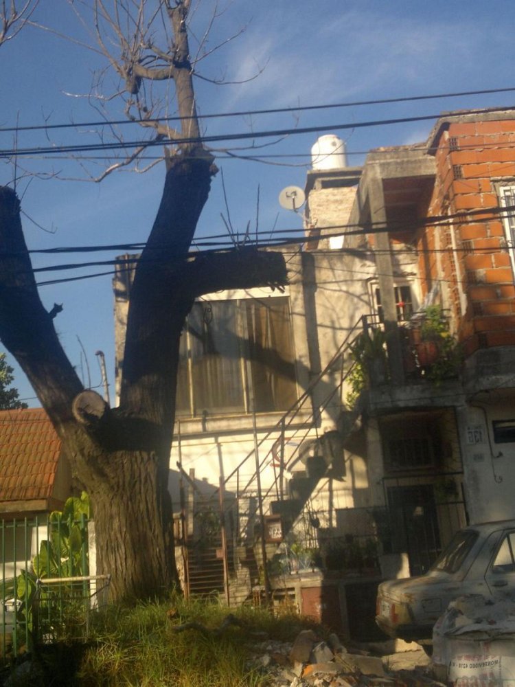 3 bedrooms Apartment in General San Martin, Argentina No. 2774