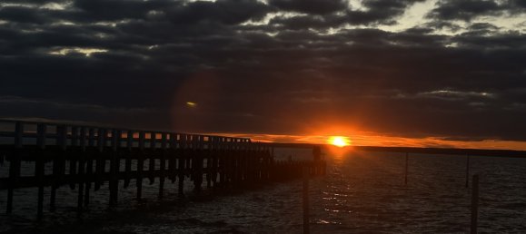 قطعة أرض في Corinella, Australia 635متر مربع رقم 1017 6