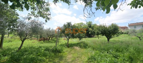 3 Schlafzimmer Haus in Assisi, Italy, Nr. 72820 25