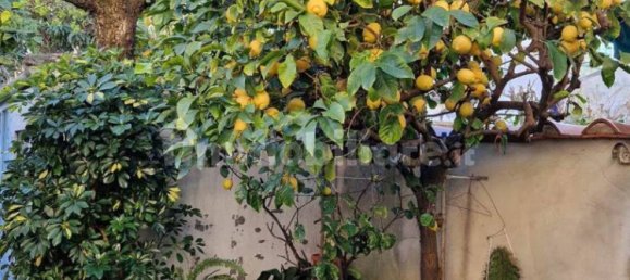 3 bedrooms House in Sesto Fiorentino, Italy No. 44294 17