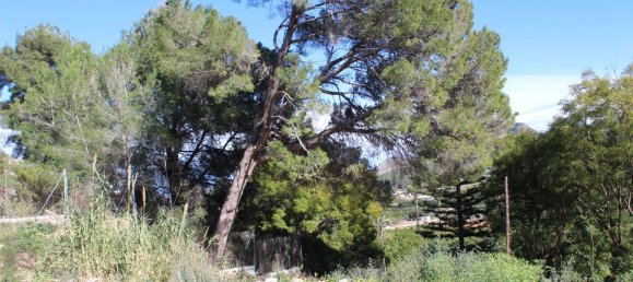  قطعة أرض في Alzira, Spain 1000متر مربع رقم 97162 7