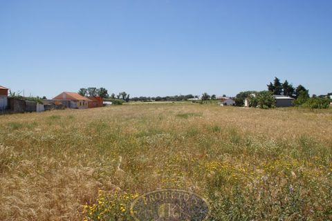 Grundstück in Alcochete, Portugal 10760m², Nr. 348255