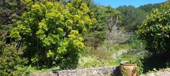 7 غرف نوم قطعة أرض في Mafra, Portugal رقم 99660 8