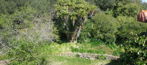 7 غرف نوم قطعة أرض في Mafra, Portugal رقم 99660 30