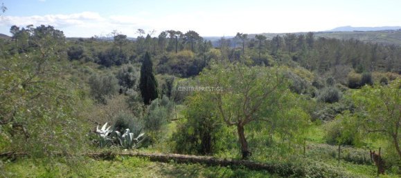 7 غرف نوم قطعة أرض في Mafra, Portugal رقم 99660 33