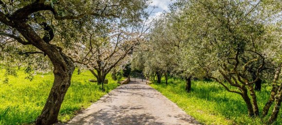 Villa T3 em Grottaferrata, Italy N.º 272188 27