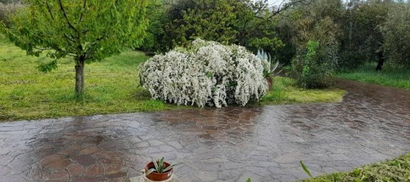 Villa T3 em Grottaferrata, Italy N.º 272188 9