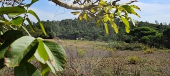 4 bedrooms House in Alcobaca, Portugal No. 16165 31