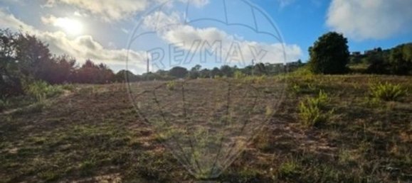 4 bedrooms House in Alcobaca, Portugal No. 16165 13