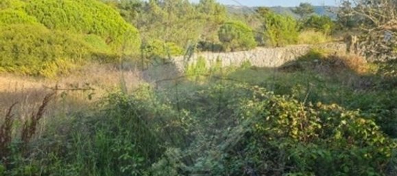 4 bedrooms House in Alcobaca, Portugal No. 16165 10