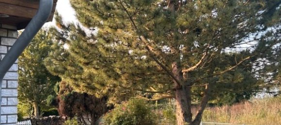 5-Zimmer Haus in Vorpommern-Greifswald, Germany, Nr. 289645 12