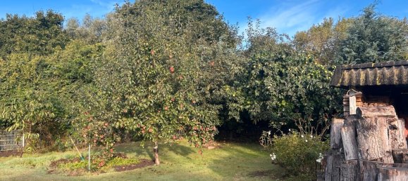 5-Zimmer Haus in Vorpommern-Greifswald, Germany, Nr. 289645 19