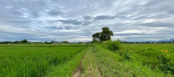 20 bedrooms Commercial property in Chiang Mai, Thailand No. 21940 19