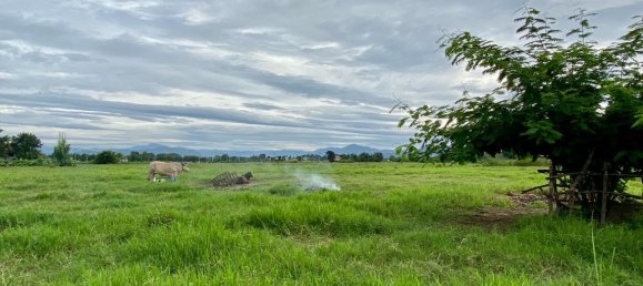 20 bedrooms Commercial property in Chiang Mai, Thailand No. 21940 8