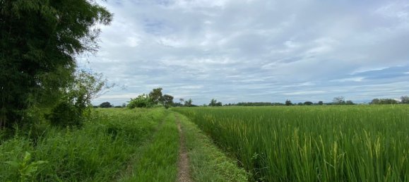 20 bedrooms Commercial property in Chiang Mai, Thailand No. 21940 20