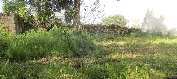 2 غرف نوم منزل في Pinhel, Portugal رقم 20455 14