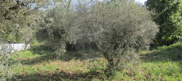 2 غرف نوم منزل في Pinhel, Portugal رقم 20455 17