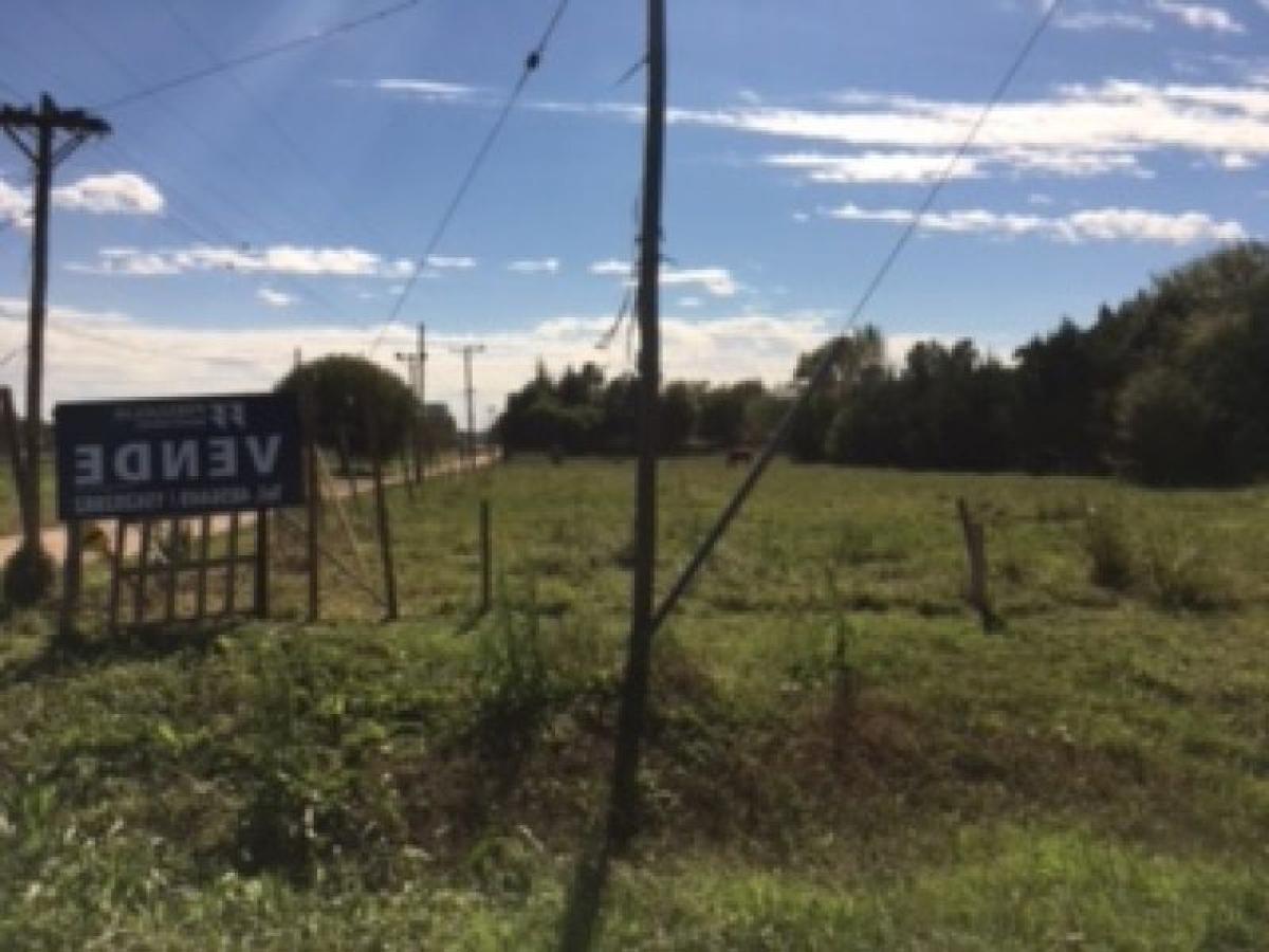 Grundstück in Santa Fe, Argentina, Nr. 31097