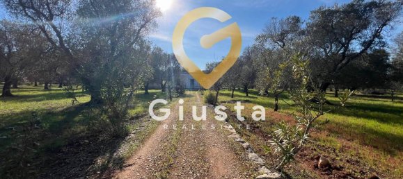 3 rooms House in San Michele Salentino, Italy No. 37530 2