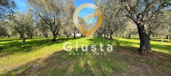 3 rooms House in San Michele Salentino, Italy No. 37530 18