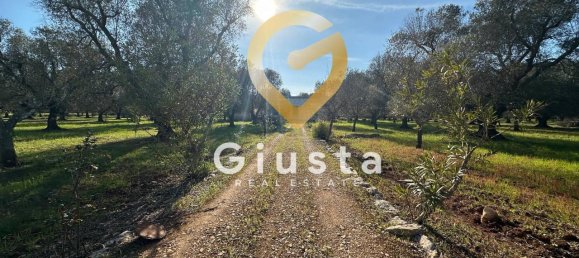 3 rooms House in San Michele Salentino, Italy No. 37530 3